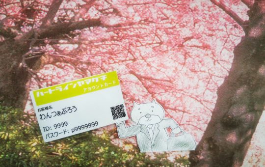 新年度スタート！当店でも新しいサービスが始まります♪