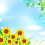 夏季休業のお知らせ